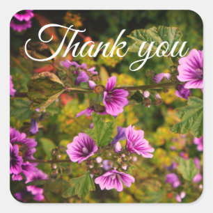 Thank You Zebra Hollyhock Flowers Stickers