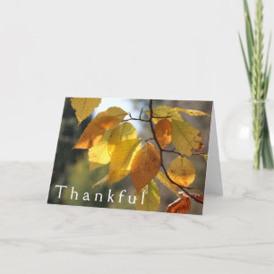 Thankful Autumn  Foliage Greeting Card