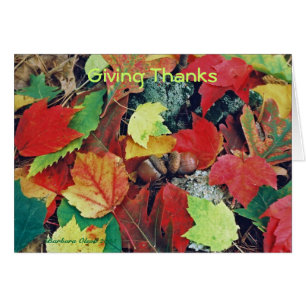 Thankful for you!
