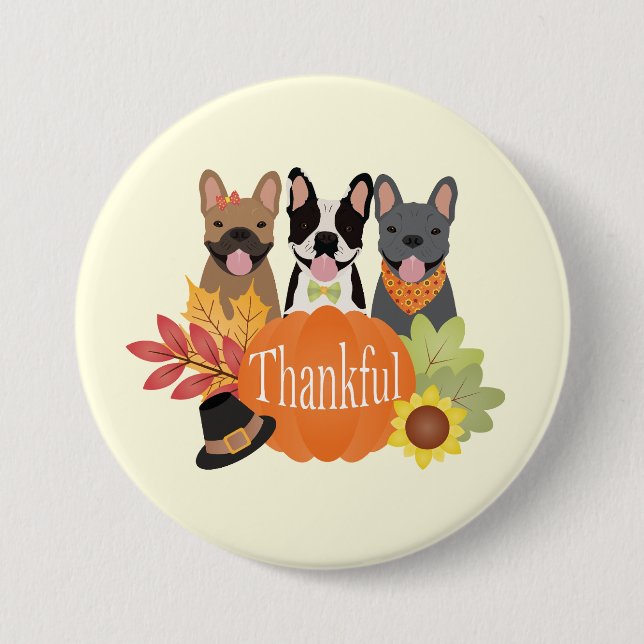 Thankful French Bulldogs Thanksgiving 7.5 Cm Round Badge (Front)