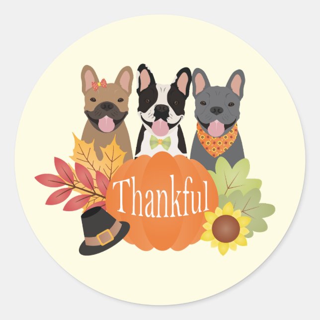Thankful French Bulldogs Thanksgiving Classic Round Sticker (Front)