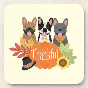 Thankful French Bulldogs Thanksgiving Coaster