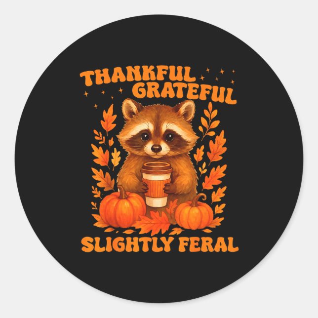 Thankful Grateful Slightly Feral Funny Raccoon Tha Classic Round Sticker (Front)