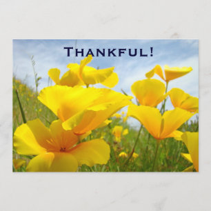 Thankful! Invitations Custom Volunteers Lunch