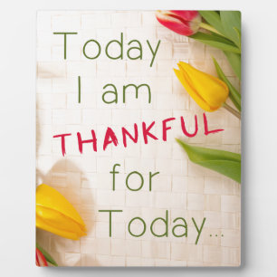 Thankful Motivational Qoutes Plaque