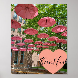 Thankful ... seeing beauty in the rain! poster