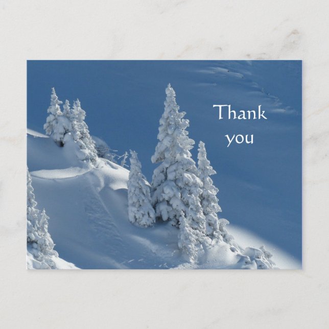 Thanks Beautiful Mountain Snow Trees Postcard (Front)