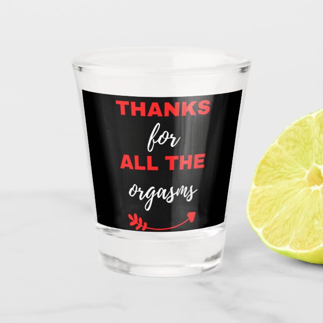 Thanks For All The Orgasms Shot Glass (Front)