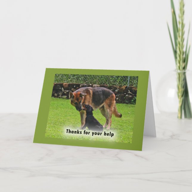Thanks for your help, dogs thank you card (Front)