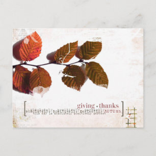 thanks giving post card