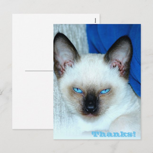 Thanks Holiday Postcard (Front/Back)