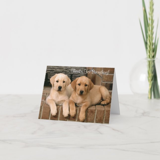 Thanks  Labrador Retriever Puppies Greeting Card (Front)