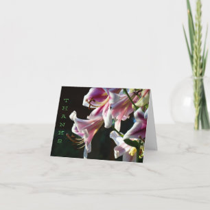THANKS NOTE CARDS Pink White Lily Flowers Lilies