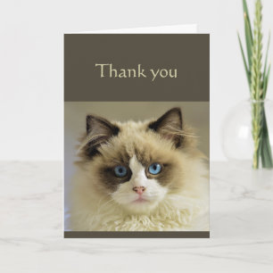 Thanks Sincere Beautiful Cat Animal Scripture Card