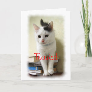 Thanks, Teacher, Kitten on Books Card