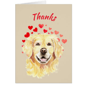 Thanks, Thank you Golden Retriever Dog
