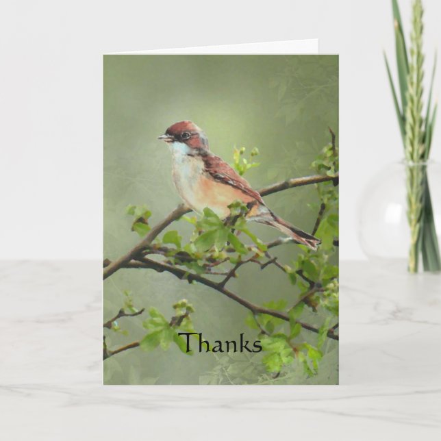 Thanks Whitethroat Bird for Gift, Donation Thank You Card (Front)
