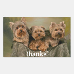 Thanks Yorkshire Terrier Puppy Dogs Sticker