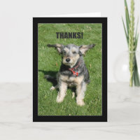 Thanks! Your Kindness Nearly Blew Me Away!