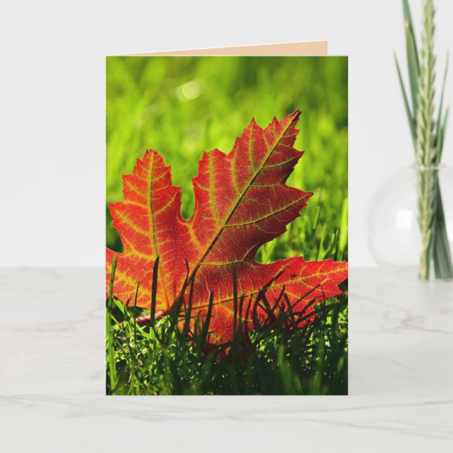 THANKSGIVING AUTUMN LEAVES GREETING CARD (Front)
