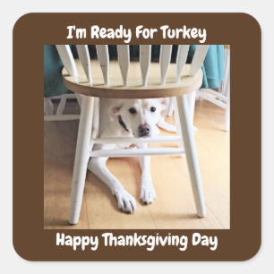 Thanksgiving Day Cute White Dog Under Table Brown Square Sticker