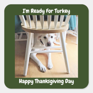 Thanksgiving Day Cute White Dog Under Table Green Square Sticker