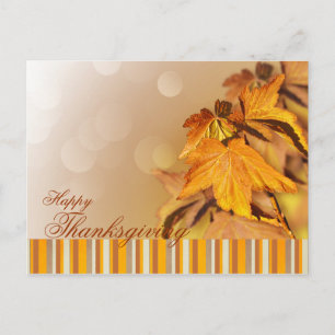 Thanksgiving Day Postcard