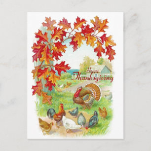 Thanksgiving Day Postcard