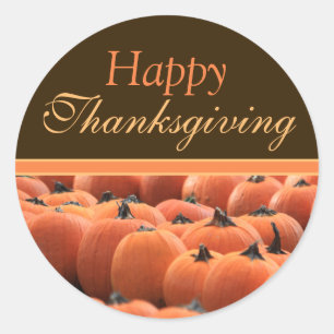 Thanksgiving Day Pumpkin Envelope Stickers