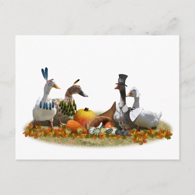 Thanksgiving Ducks - Pilgrims & Indians Holiday Postcard (Front)