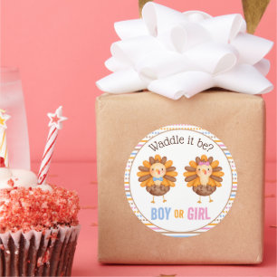 Thanksgiving Fall Gender Reveal Turkey Classic Round Sticker