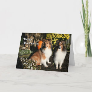 Thanksgiving for Friends Card