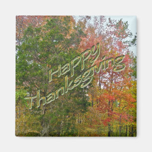 Thanksgiving Green Lane PA Autumn Foliage Magnet