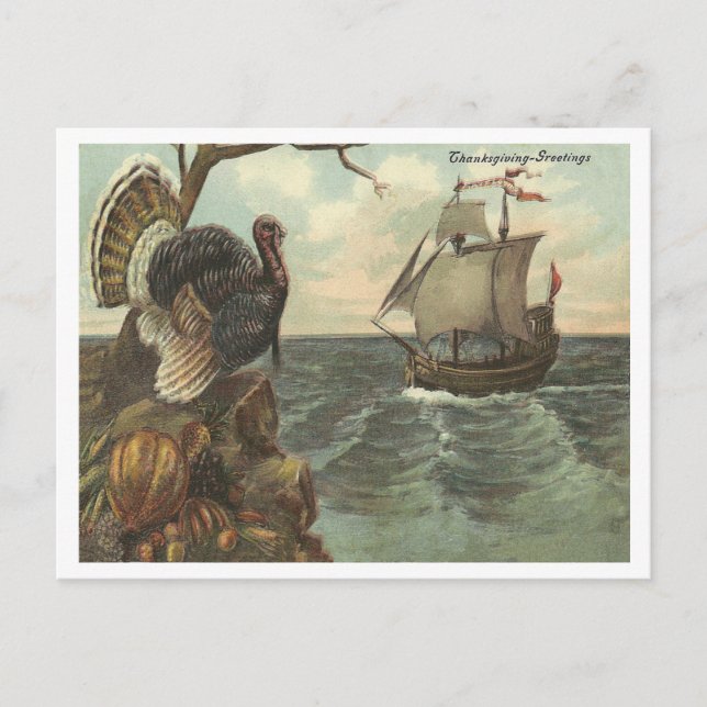 Thanksgiving Greetings Holiday Postcard (Front)