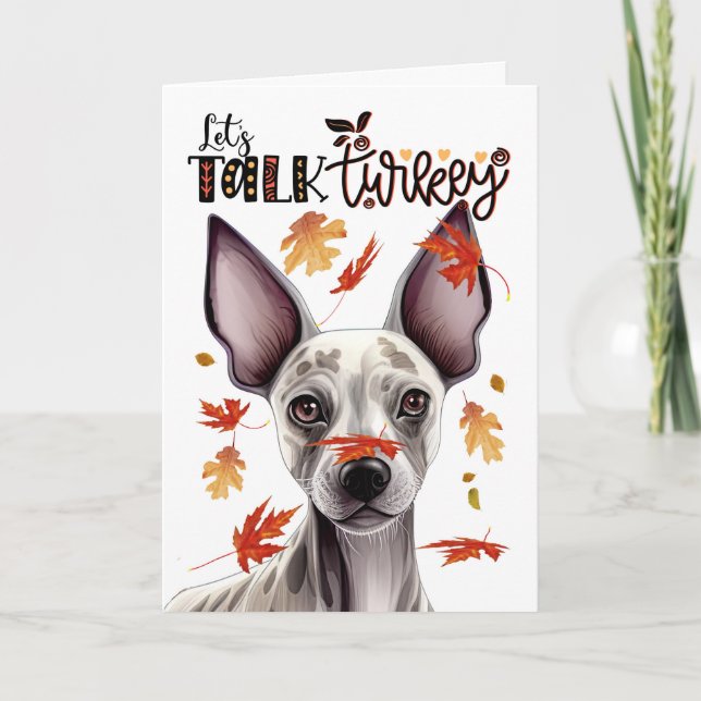 Thanksgiving Hairless Terrier Let's Talk Turkey Holiday Card (Front)