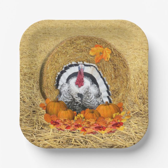 Thanksgiving Harvest Paper Plate (Front)