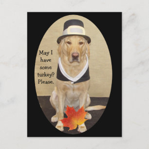 Thanksgiving Invitation Postcard