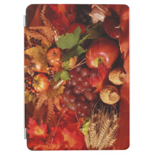 Thanksgiving iPad Air Cover