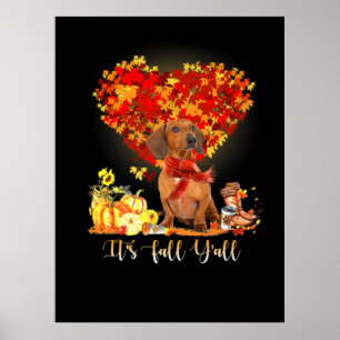 Thanksgiving It's Fall Y'all Dachshund Poster