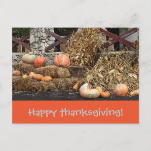 Thanksgiving Orange pumpkin rustic Postcard