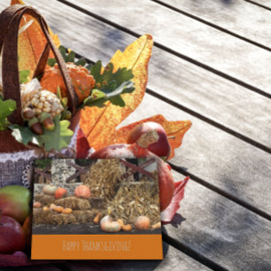 Thanksgiving Orange pumpkin rustic Postcard