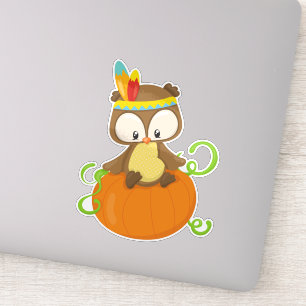 Thanksgiving Owl, Brown Owl, Feathers, Pumpkin