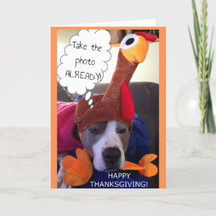 Thanksgiving - Pathetic Pittie Holiday Card
