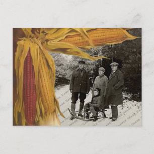 Thanksgiving Photo Greetings Postcard