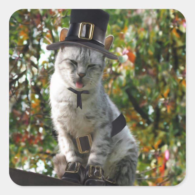 Thanksgiving Pilgrim Cat Square Sticker (Front)