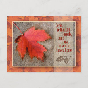 Thanksgiving Postcard