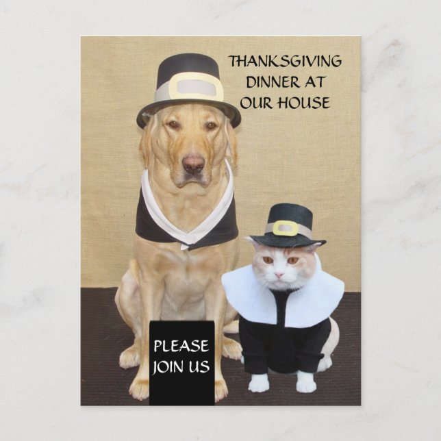 Thanksgiving Postcard/Invitation Invitation Postcard (Front)