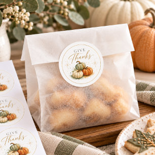 Thanksgiving Pumpkin Give Thanks Classic Round Sticker