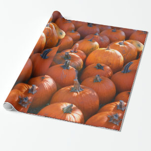 Thanksgiving Pumpkin Patch Wrapping Paper