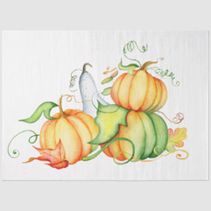 Thanksgiving Pumpkin Series Design 9 Tissue Paper